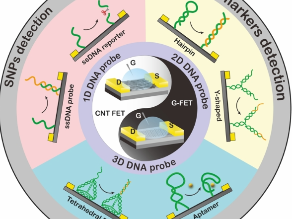 湘潭大学张志勇教授团队在纳米材料领域国际期刊发表论文