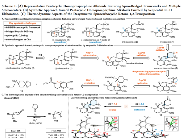 南华大学黄俊团队实现四种五环高原阿朴啡碱高效合成