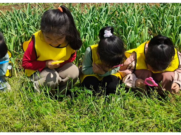 邵东市廉桥镇第二幼儿园：田野课堂育童心 指尖劳动传文脉