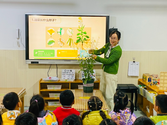 芙蓉区教育局东云台幼儿园：举办“博士进校园”暨幼小科学衔接系列活动
