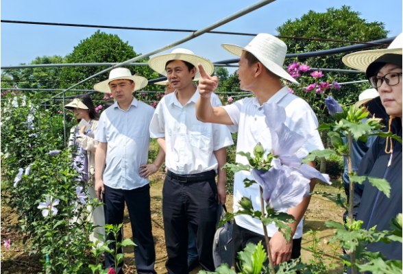 两校专家齐聚 围绕一朵花打造资阳区“最”字优势特色产业 