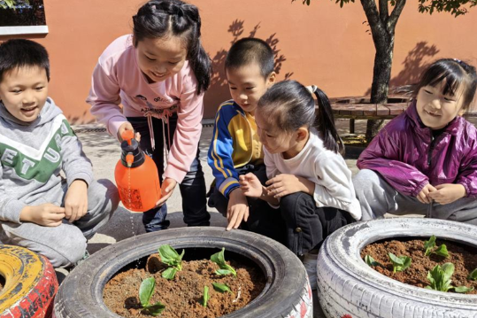 衡阳市石鼓区同兴路小学：轮胎大“变身”，劳动课火出圈