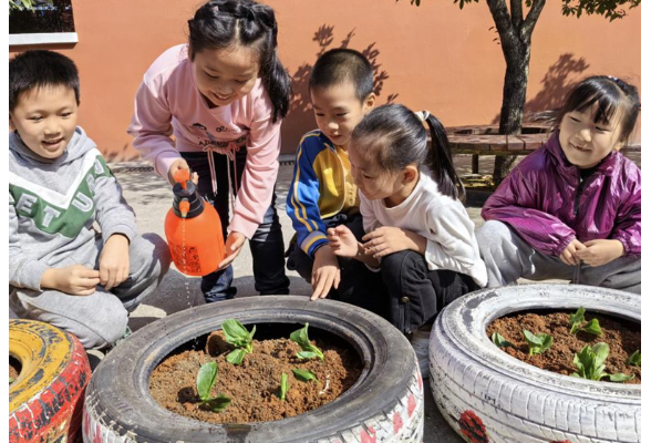 衡阳市石鼓区同兴路小学：轮胎大“变身”，劳动课火出圈