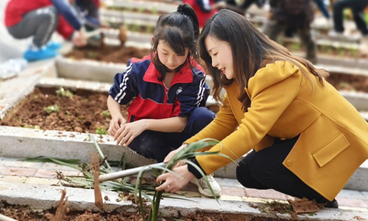 衡阳市石鼓区五一路小学：中医文化“种”心中