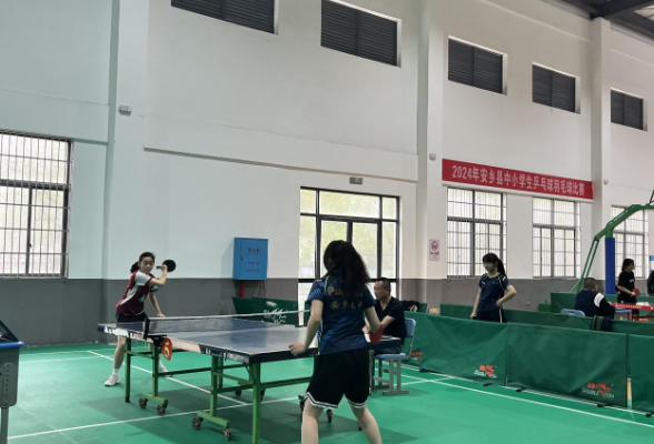 安乡：2024年中小学生乒乓球羽毛球比赛圆满落幕
