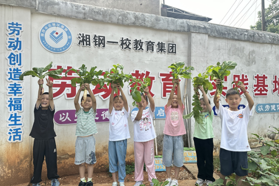 湘钢一校教育集团：开展“丰收节”系列活动