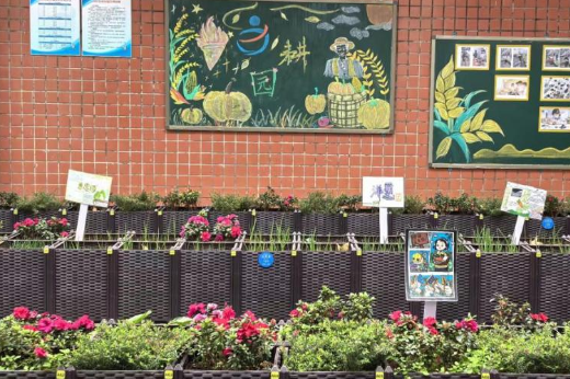 株洲市芦淞区体育路中学：劳动教育实践基地“为耕园”深耕结硕果