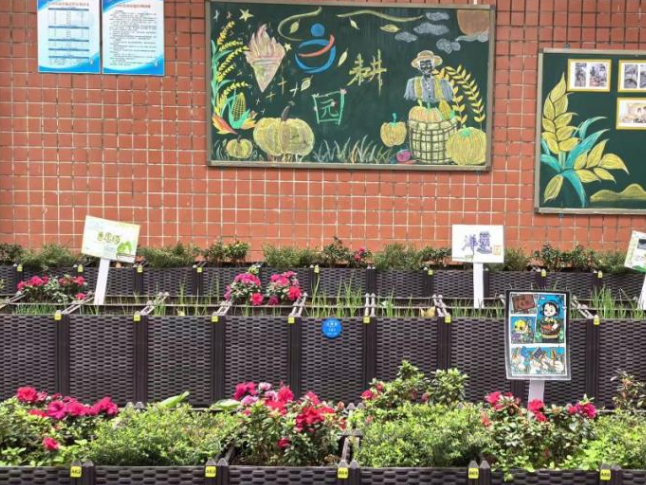 株洲市芦淞区体育路中学：劳动教育实践基地“为耕园”深耕结硕果