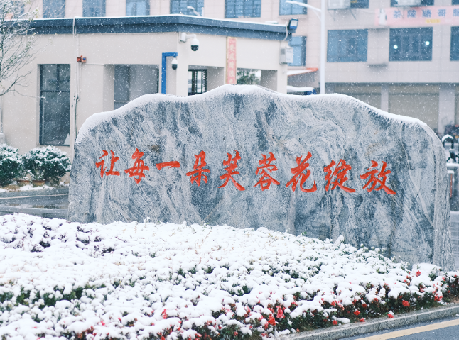 “十四五”非凡教育答卷·校长笔谈 | 株洲市茶陵县芙蓉学校陈建林：从一朵花的盛开到满园锦簇的绽放