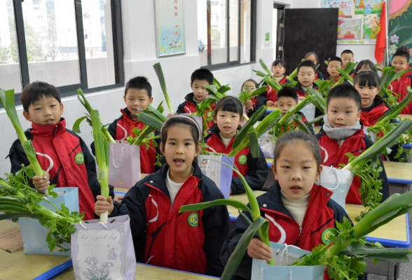 郴州各中小学（幼儿园）迎来开学，一起直击开学现场吧！