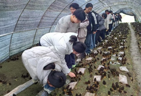 永顺县对山乡九年制学校：走进田间课堂 厚植乡土情怀