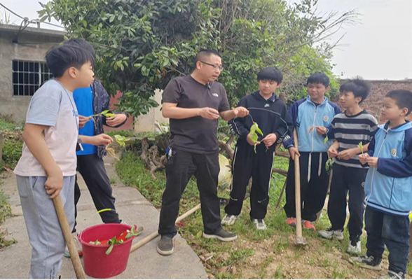 【衡阳县站】金兰镇中心小学：种植中医药材，弘扬国粹文化