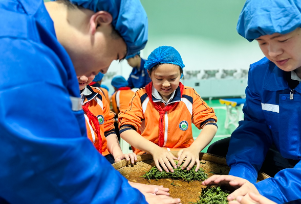 【先声新闻】茶香润校园——一所百年小学的茶文化特色发展之路