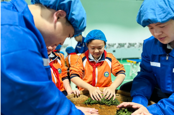 【先声新闻】茶香润校园——一所百年小学的茶文化特色发展之路