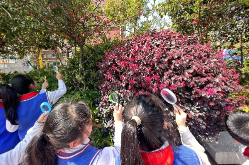 湘阴县城东学校：学科融合促成长 童心探秘大自然