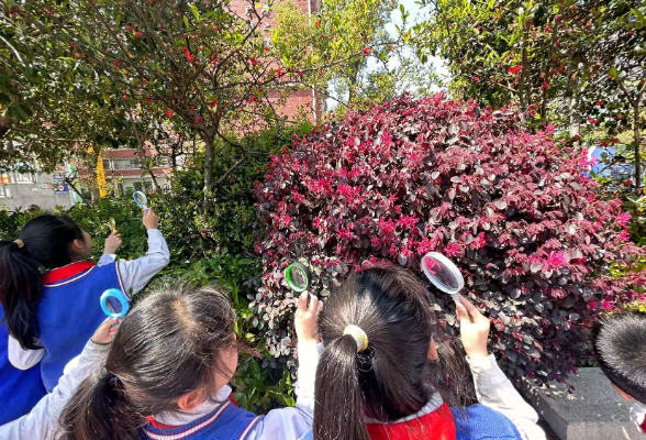 湘阴县城东学校：学科融合促成长 童心探秘大自然