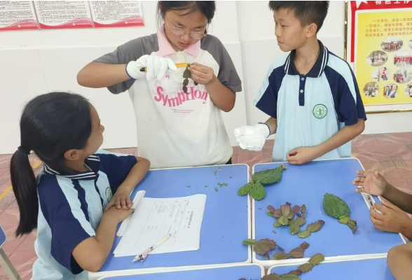 宁乡白马桥街道中心小学：绿水青山农林情，以劳动传承红色基因