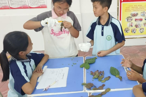 宁乡白马桥街道中心小学：绿水青山农林情，以劳动传承红色基因