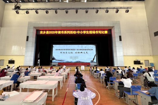 安乡：中小学生现场书写比赛圆满举行