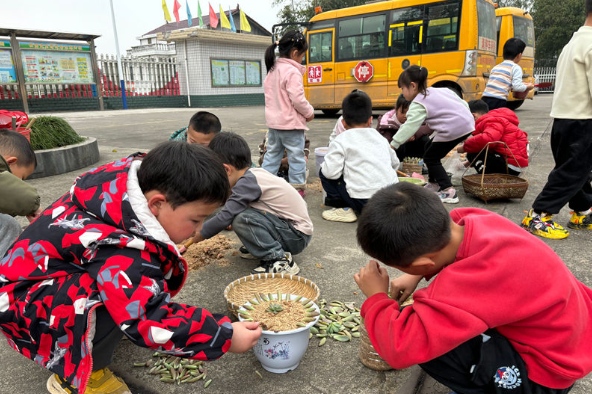 常德市鼎城区尧天坪公立幼儿园：小手添新绿 童心护家园