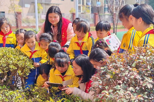 从“挥锹添绿”到“AI护绿” 衡阳市石鼓区解锁生态育人新范式