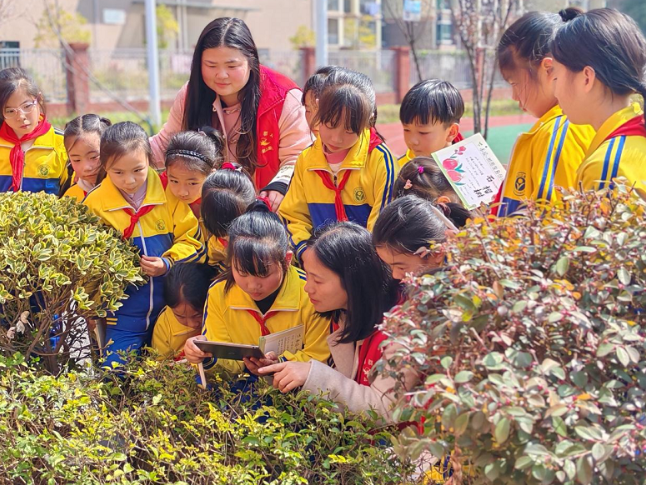 从“挥锹添绿”到“AI护绿” 衡阳市石鼓区解锁生态育人新范式