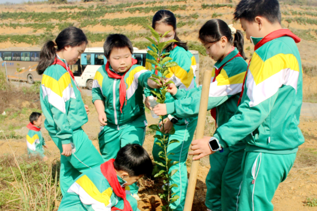 安仁县：春风植绿润童心 共树未来向春行