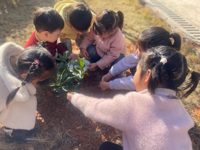 临武县第二幼儿园：播种希望 共育成长