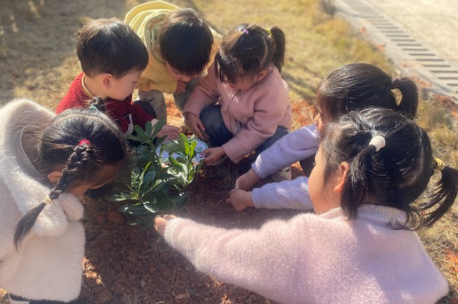 临武县第二幼儿园：播种希望 共育成长