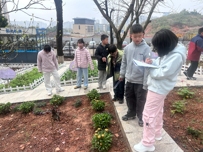 宁乡市玉潭街道中心小学：躬耕琢玉启五育 劳动实践育新人