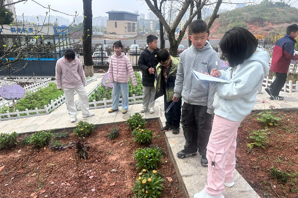 宁乡市玉潭街道中心小学：躬耕琢玉启五育 劳动实践育新人