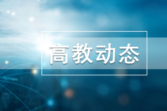 从小众品类走向大众视野 拼豆为何能迅速走红？
