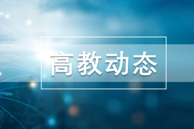 跨越年龄边界，为何全民皆拼豆？