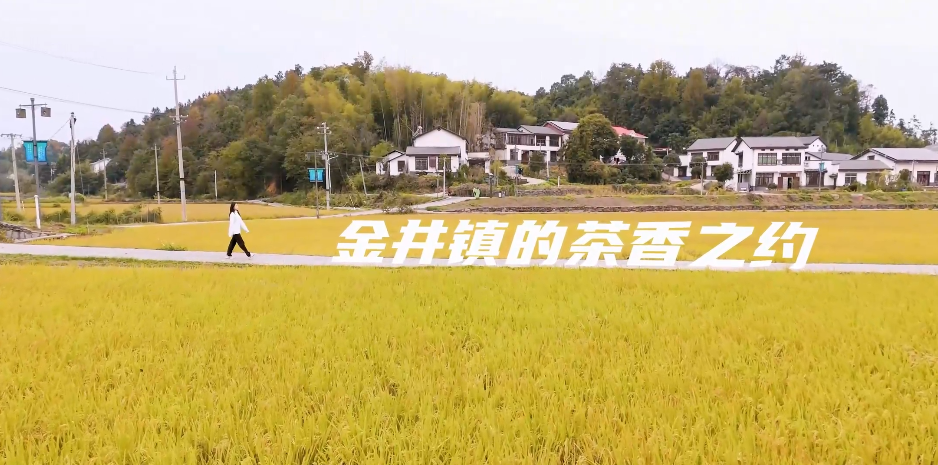 图片49.png