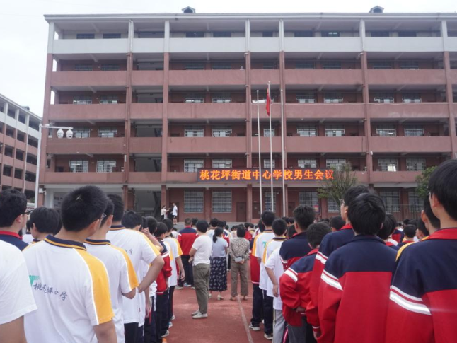 阳光护蕾 隆回县桃花坪街道中心学校举办男女生青春期专题教育大会