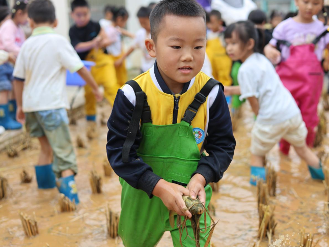 保靖县幼儿园：乐享秋收 快乐成长
