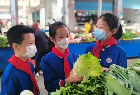 衡南县云集联合学校沁园校区：把课堂搬到“菜市场”