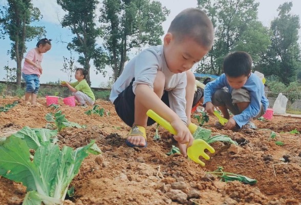 常德鼎城区沧山公立幼儿园：劳动创造快乐