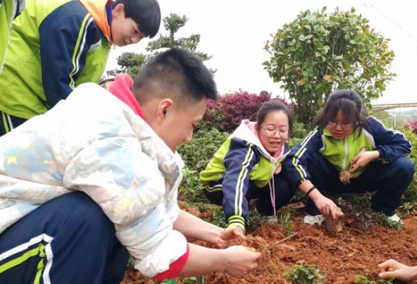 【资阳站】益阳国基实验学校：让绿意点缀校园 用双手播种希望