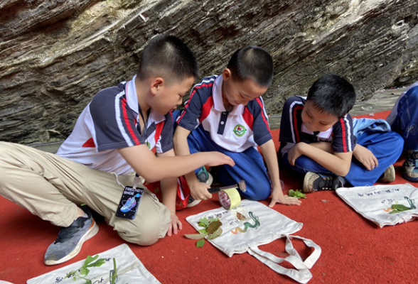 宁远县印山小学：开展“探索自然，走进科学”自然科普研学活动