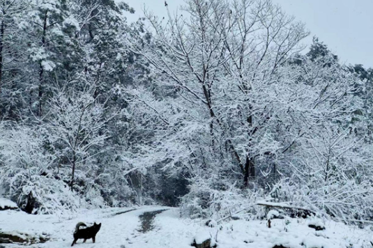 【衡阳县站】又见雪起