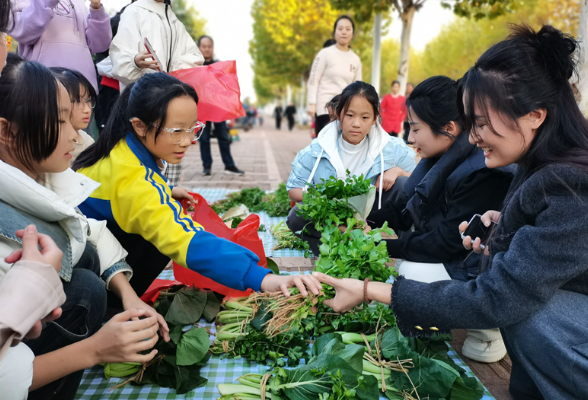 衡阳市石鼓区金源小学“阳光农场”获丰收，学生变“小菜农”义卖蔬菜