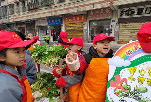 临武县一完小：爱心“小菜铺”   劳动大实践