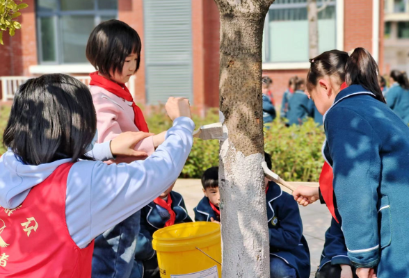 衡阳市石鼓区：学子为绿色校园充“植”