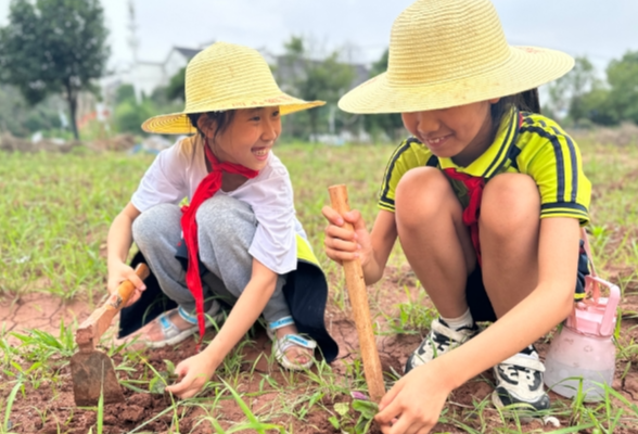 衡阳市蒸湘区：帮助青少年“扣好人生第一粒扣子”
