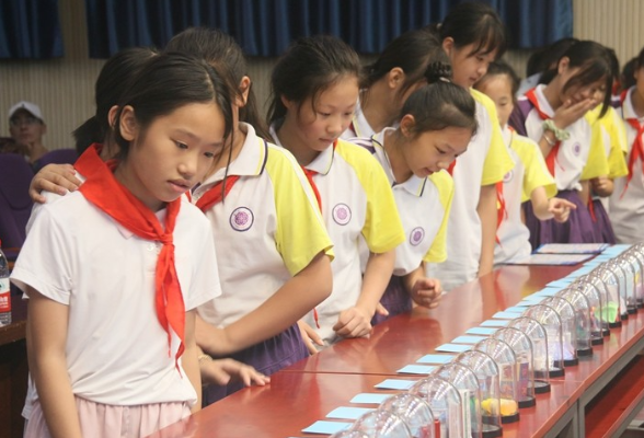 常德市武陵区紫菱小学：联合开展国际禁毒日宣讲活动