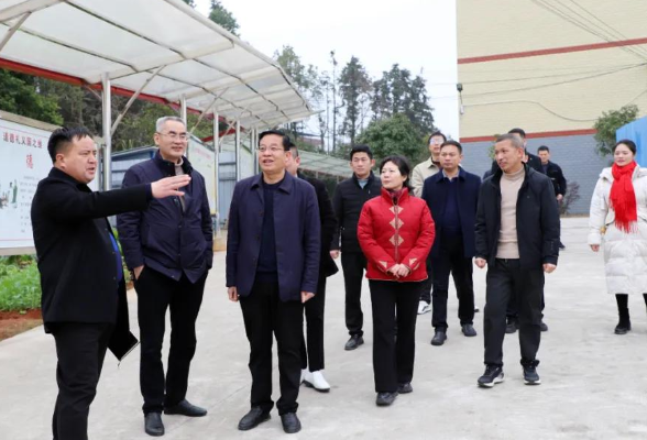 祁阳：开展教育事业发展专题调研