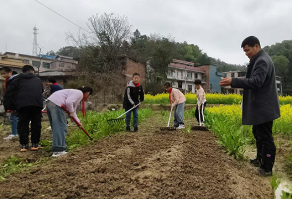 【衡阳县站】盘石完小：劳动基地植树忙