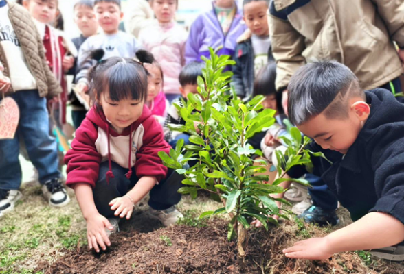 道县：爱绿护绿植绿 从我做起