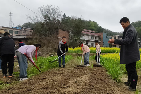 【衡阳县站】盘石完小：劳动基地植树忙